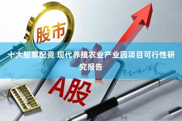 十大股票配资 现代养殖农业产业园项目可行性研究报告
