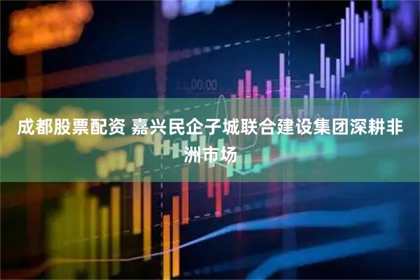 成都股票配资 嘉兴民企子城联合建设集团深耕非洲市场