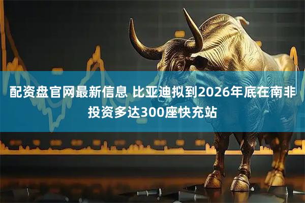 配资盘官网最新信息 比亚迪拟到2026年底在南非投资多达300座快充站
